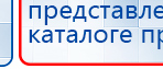 СКЭНАР-1-НТ (исполнение 02.2) Скэнар Оптима купить в Орле, Аппараты Скэнар купить в Орле, Медицинский интернет магазин - denaskardio.ru